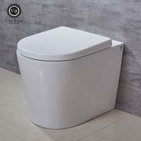 WC bathroom white bowl wall hung ceramic washdown one piece toilet